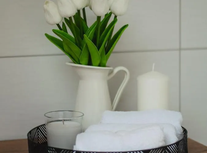 Kohler Apartamento Bichl